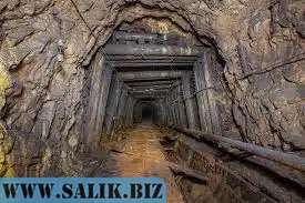 
        Коронавирус в пещере: все о китайских шахтерах, которые болели странной пневмонией в 2012 году			
	            
