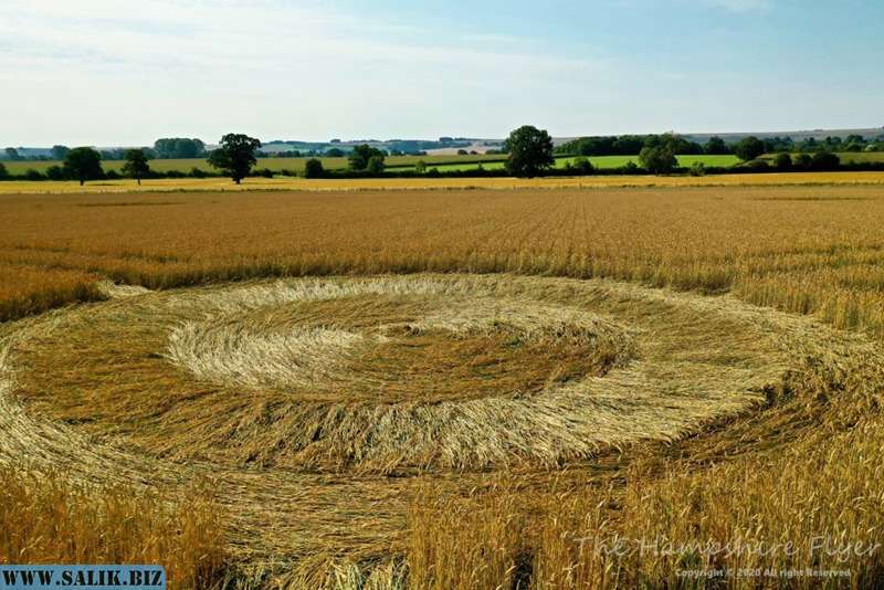 
        Рисунок на поле обнаружен в английском графстве Уилтшир			
	            