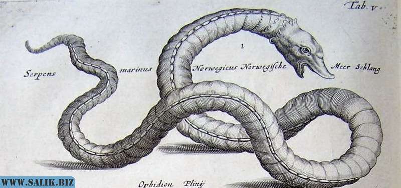 
        В Средиземном море нашли останки Морского змея			
	            