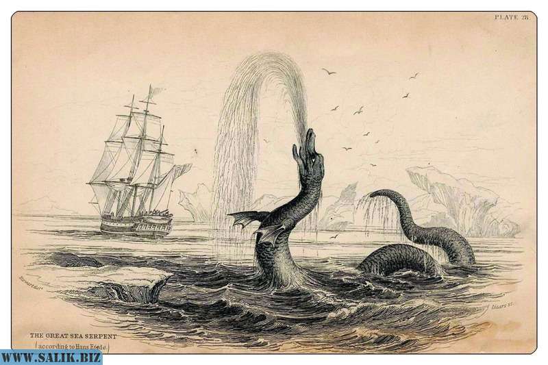 
        В Средиземном море нашли останки Морского змея			
	            
