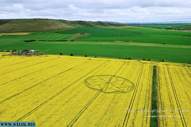 
        В английском графстве Уилтшир обнаружены рисунки на поле			
	            
