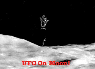 Инопланетное существо - фото с Аполлона 11 - N-lo.ru