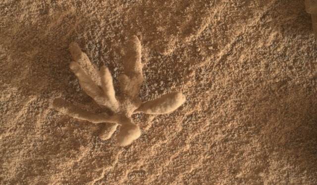 На Марсе нашли странную структуру: Форма жизни, удар молнии или минерал?