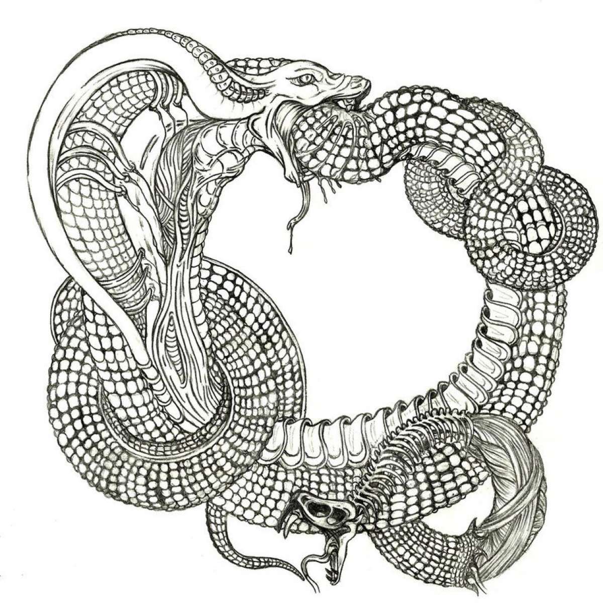 Мировой Змей – религиозные тайны различных народов мира