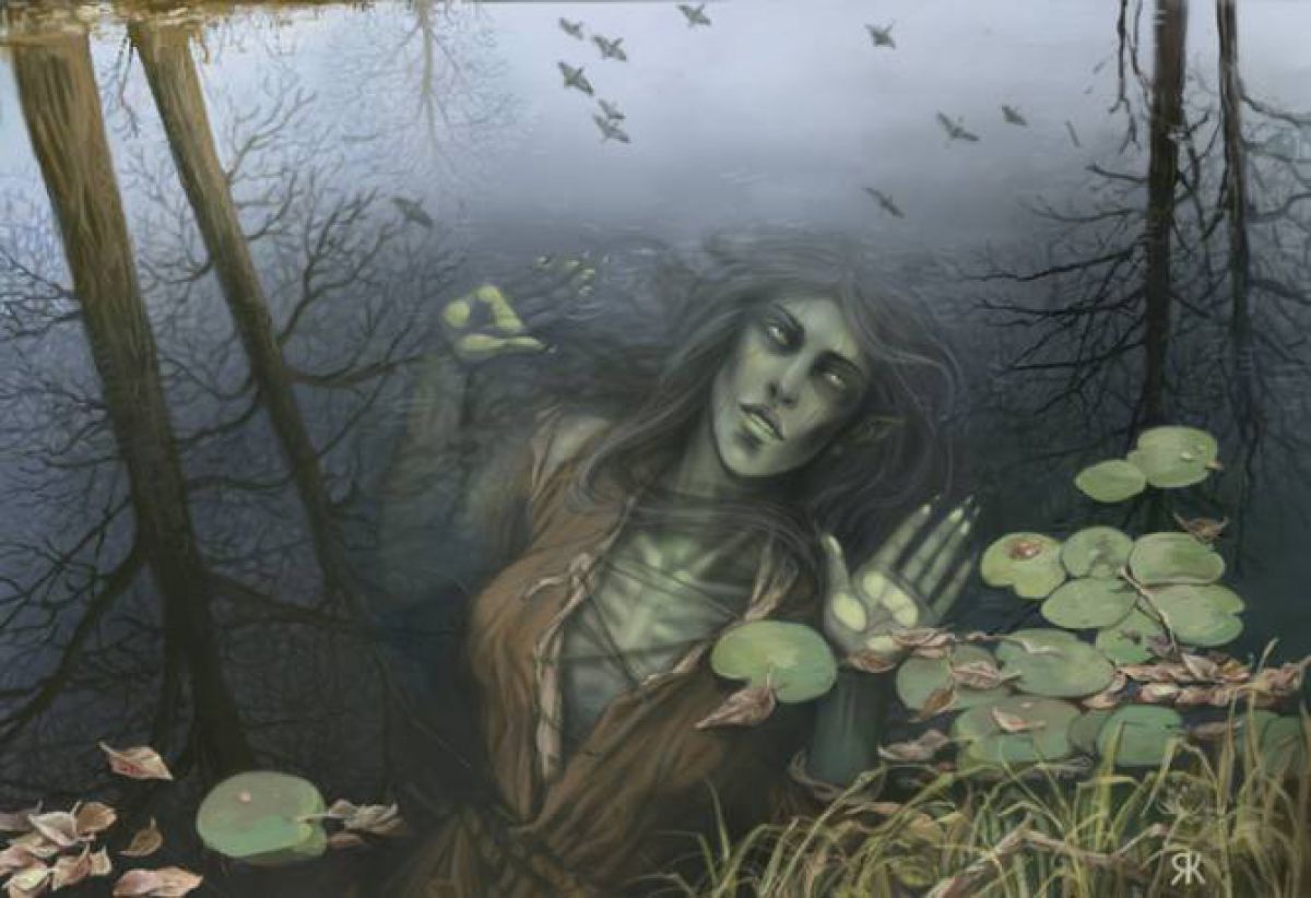 Череповецкие болота – мистика или природная аномалия