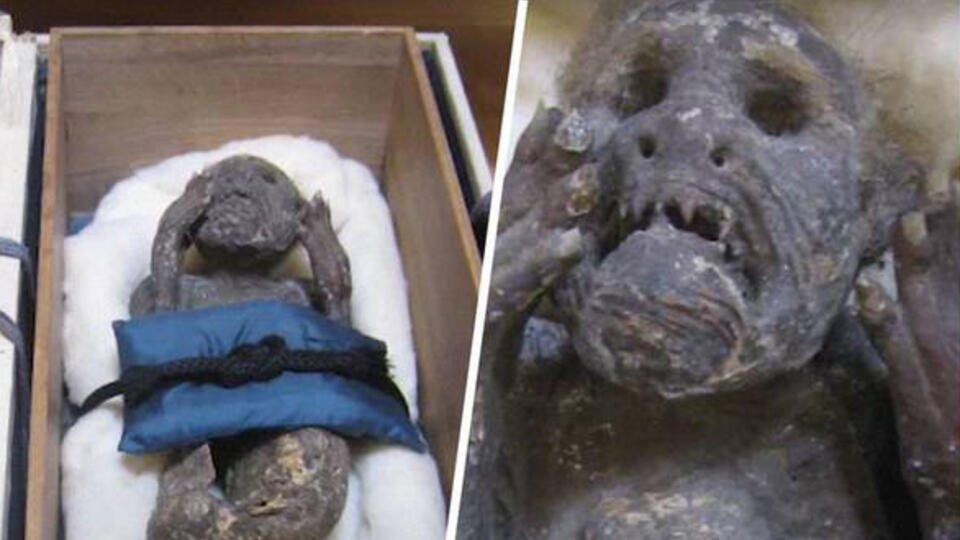 Японские ученые изучают древнюю мумию «русалки»