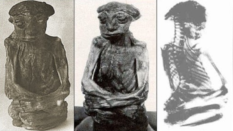 Загадка мумии, обнаруженной в горах Сан-Педро