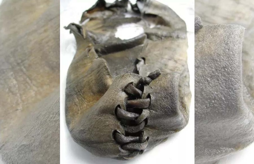В тающих льдах Норвегии ученые нашли древний кожаный ботинок возрастом 3000 лет