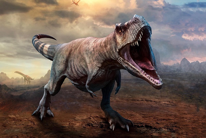 Огромного динозавра, похожего на «акулу с ногами», нашли в Великобритании