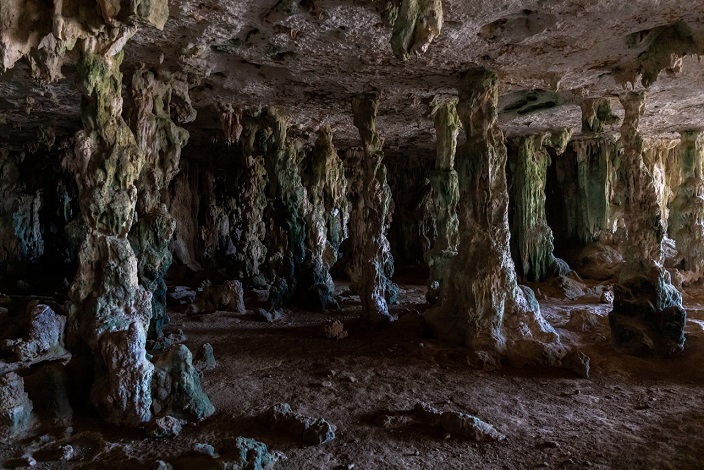 Неизвестные формы жизни обнаружили в древних лавовых пещерах на Гавайях
