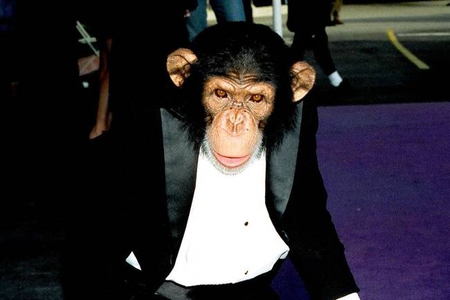 Шимпанзе Майкла Джексона пытался убить себя, когда остался без хозяина