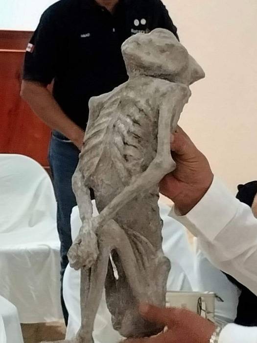 Мексиканский ученый обнаружил мумию пришельца и огромный инопланетный череп