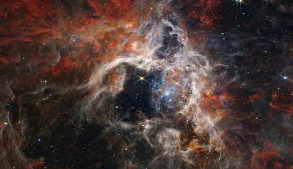 «James Webb» открыл тысячи молодых звезд в Туманности Тарантул