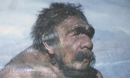 Куда исчезли неандертальцы, и почему большой мозг не помог им выжить