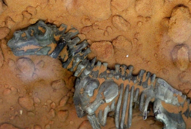 Китайские ученые нашли новую вероятную причину вымирания динозавров