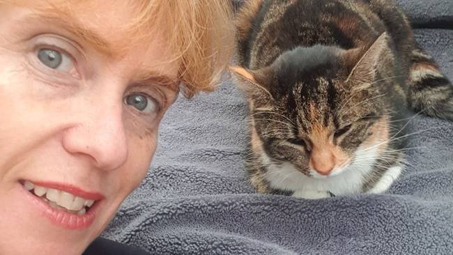 Женщина нашла потерявшуюся кошку в церкви, когда увидела вещий сон об этом