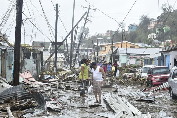 В Пуэрто-Рико сообщили о вспышке лептоспироза из-за последствий урагана "Фиона"