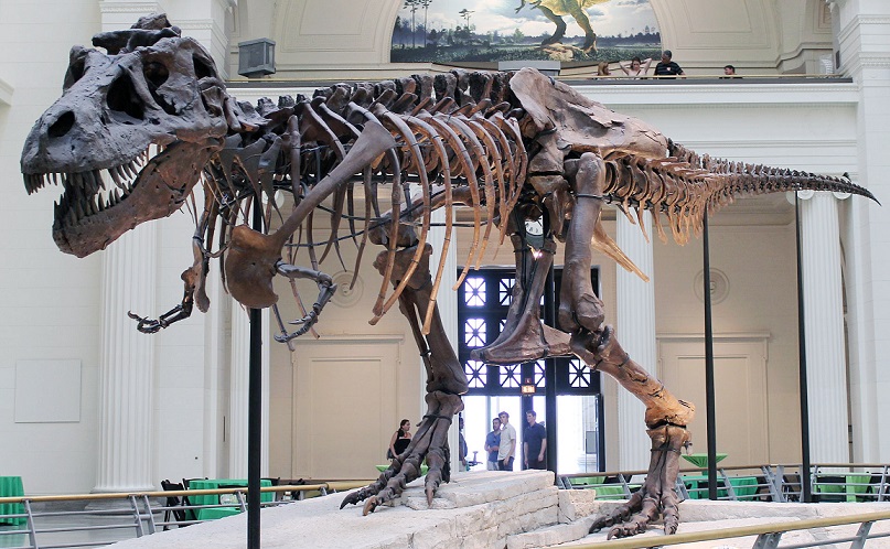 Ученые не могут объяснить, откуда у тираннозавра дыры в челюсти