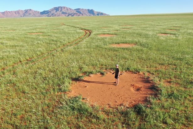 Ученые разгадали тайну происхождения странных кругов в пустыне Намибии