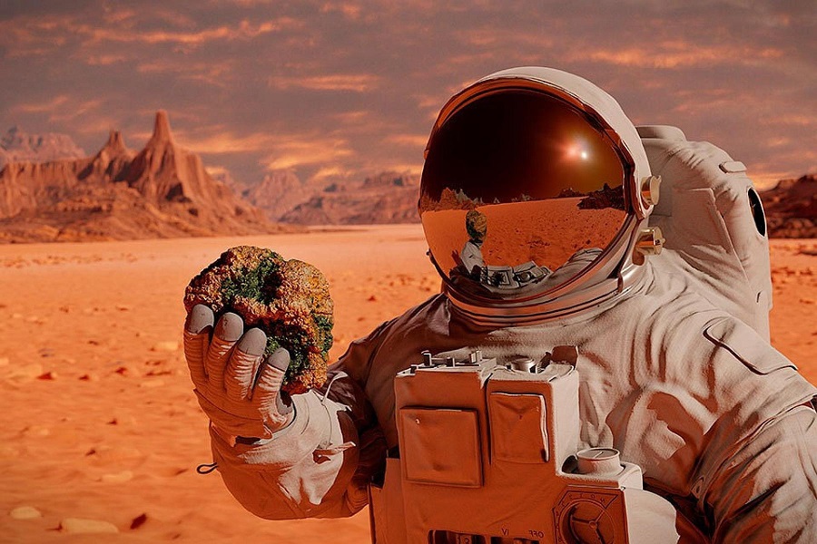 Сможет ли человечество покорить Марс?