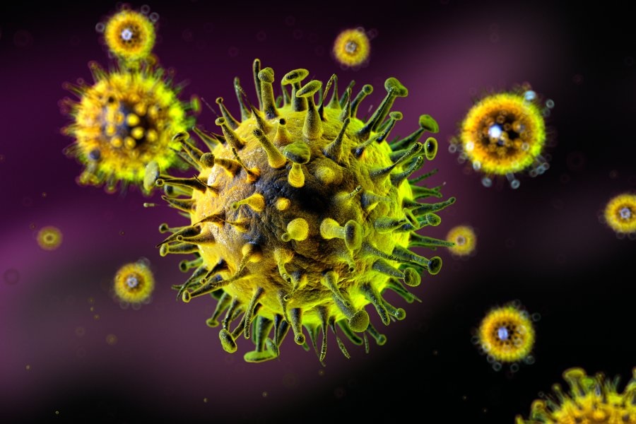 Древние вирусы «активизируются» в здоровых клетках человеческого организма