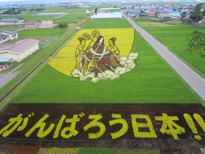 Тамбо - гигантские рисунки на рисовых полях