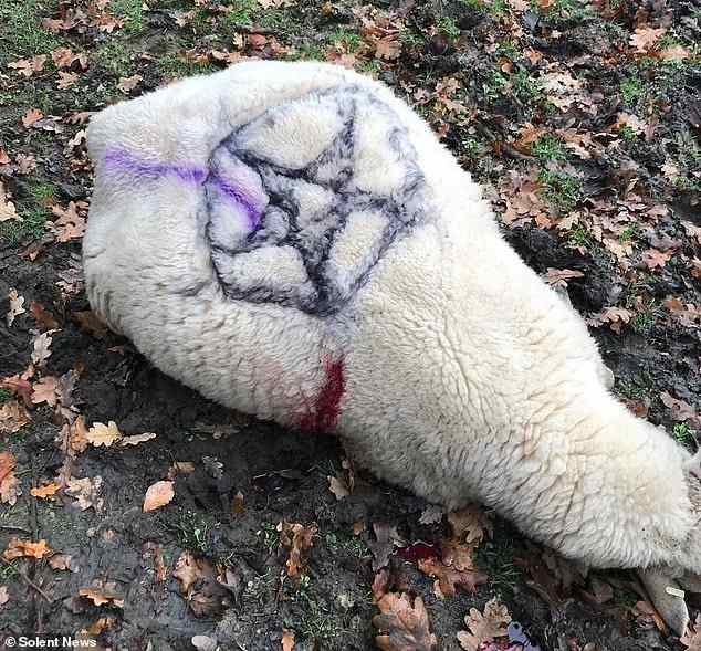 Сатанинский алтарь с овечьими сердцами обнаружен в Англии