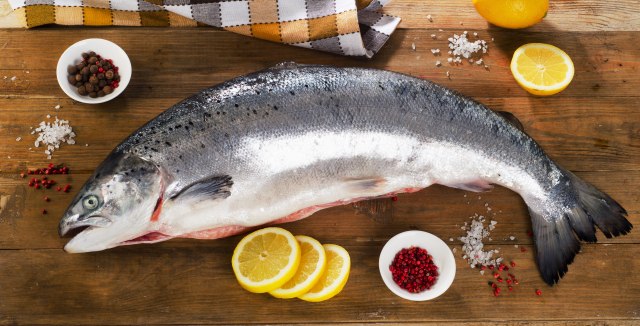 В пресноводной рыбе США обнаружили огромное количество токсичных веществ, провоцирующих рак