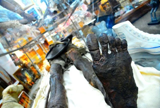 Кап Два - загадочная мумия двухголового гиганта из Патагонии