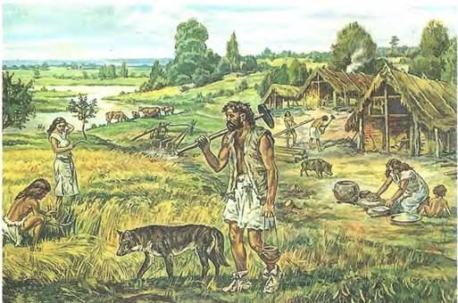 Насилие и войны широко распространились в Европе при переходе к земледелию 8000–4000 лет назад