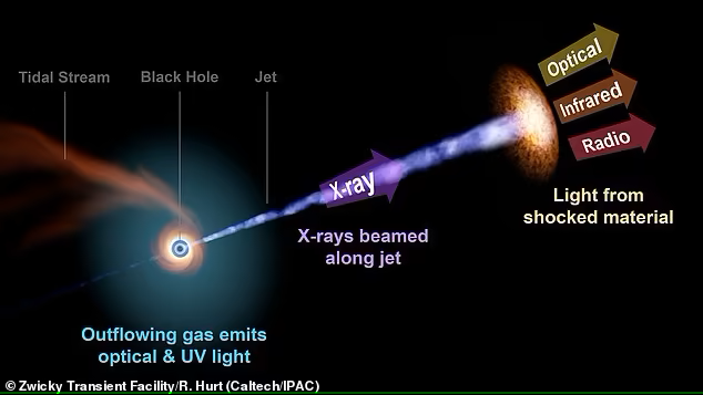 В 1 000 ТРИЛЛИОН раз ярче Солнца: Сверхмассивная черная дыра "сжимает" звезду, как тюбик зубной пасты