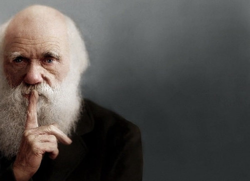 Секта Дарвина: теология и методология