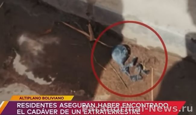 В Боливии обнаружили крошечный труп пришельца, который позже исчез
