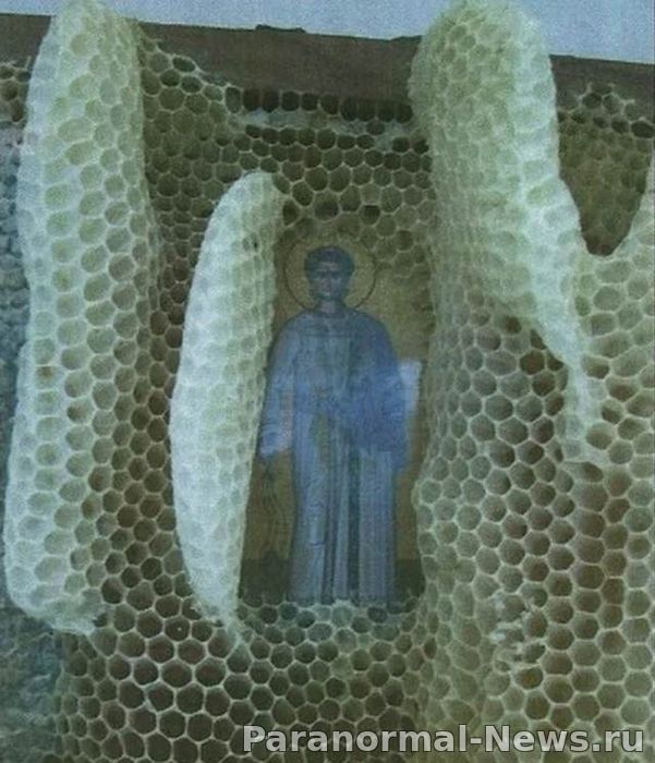 Житель Греции ставит в улья христианские картинки и каждый раз изумляется загадочной работой пчел