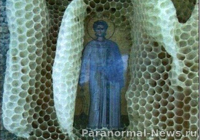 Житель Греции ставит в улья христианские картинки и каждый раз изумляется загадочной работой пчел