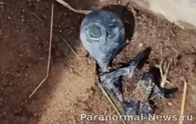 В Боливии обнаружили крошечный труп пришельца, который позже исчез