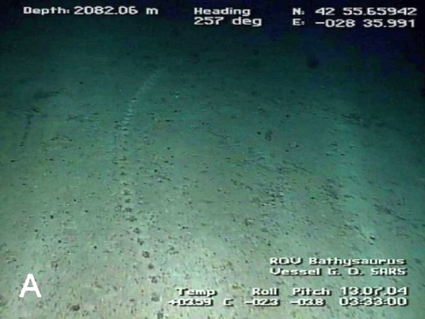 Опубликованы новые снимки загадочных отверстий на дне Атлантического океана