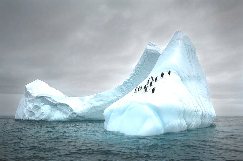 Антарктида – самая секретная территория нашей планеты