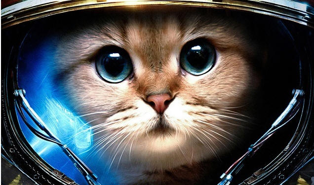 Кошка-космонавт Фелисетта