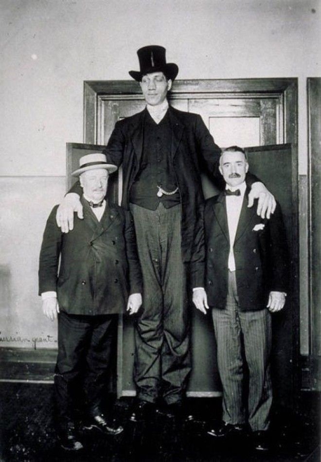 Самый высокий человек, когда-либо живший на Земле