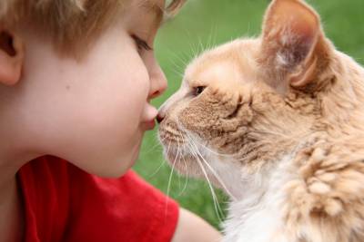 10 фактов про необычные лечебные способности кошек