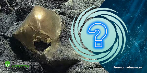 🥚 Загадочное «золотое яйцо» обнаружено на дне океана и ученые не знают, кто из него вылупился