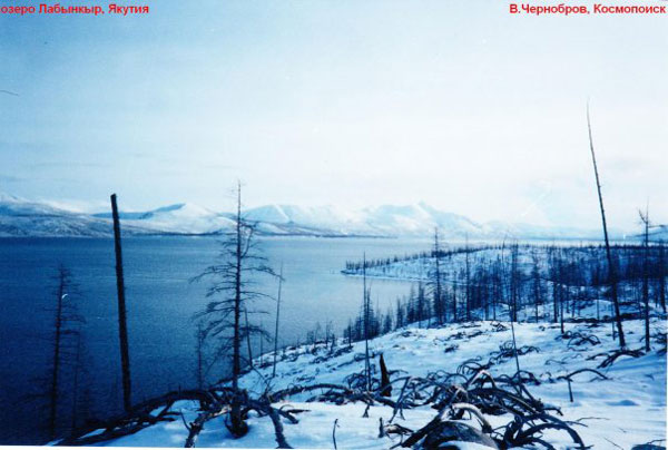 Несси из якутского озера Лабынкыр