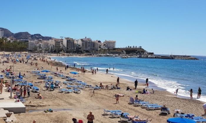 🐟 «Пираньи Средиземного моря»: На отдыхающих начали нападать ранее безобидные караси