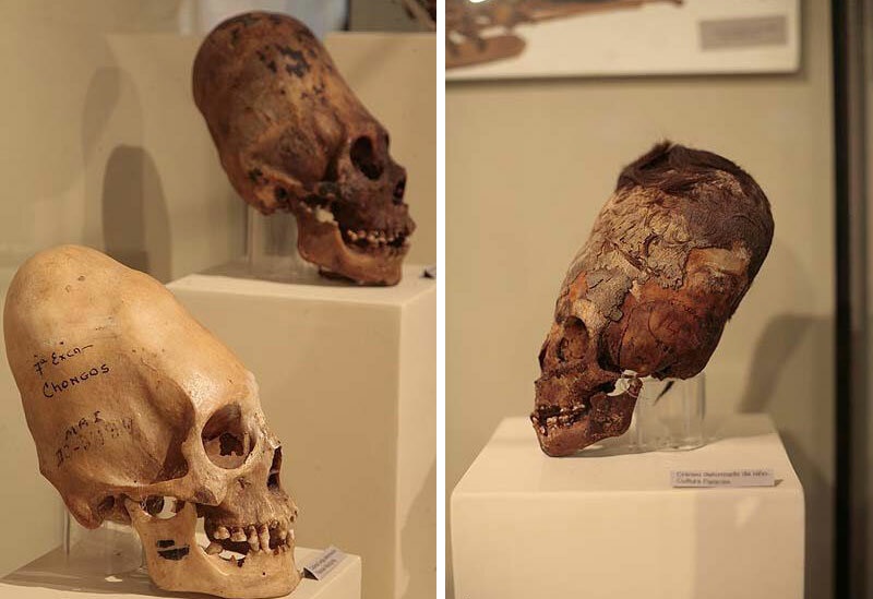 Доказано, жившие 3000 лет назад в Перу паракасцы не были людьми