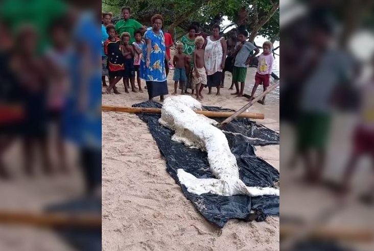 На острове Симбери нашли останки «русалки»?