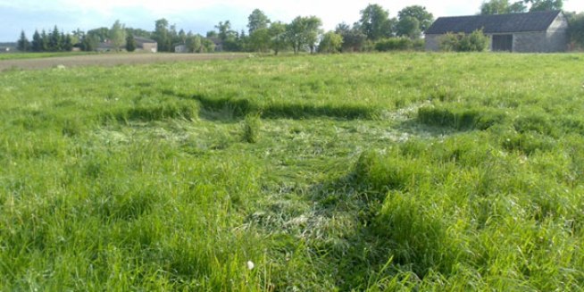 Круги на траве в польском селе Рожново создали 